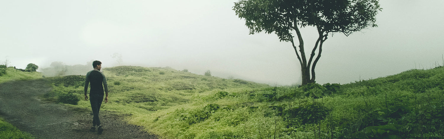 Lohagad