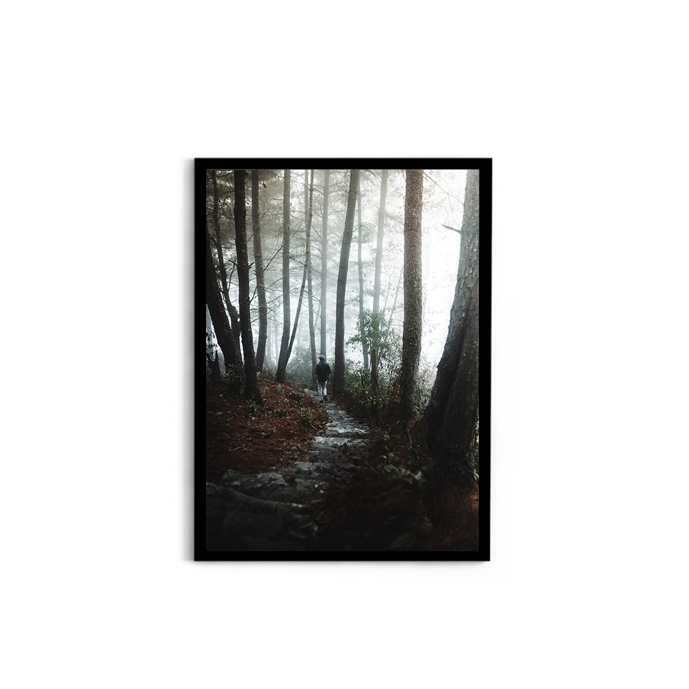 Foggy Path Through the Woods, Arunachal Pradesh - Wall Photo Frame by Jeet Khagram