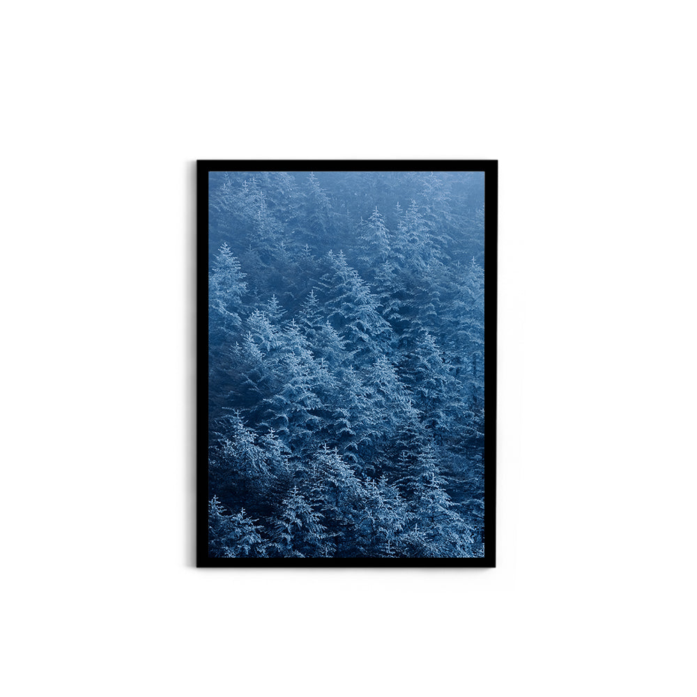 Snow-Dusted Pine Forest, Arunachal Pradesh - Wall Photo Frame by Jeet Khagram