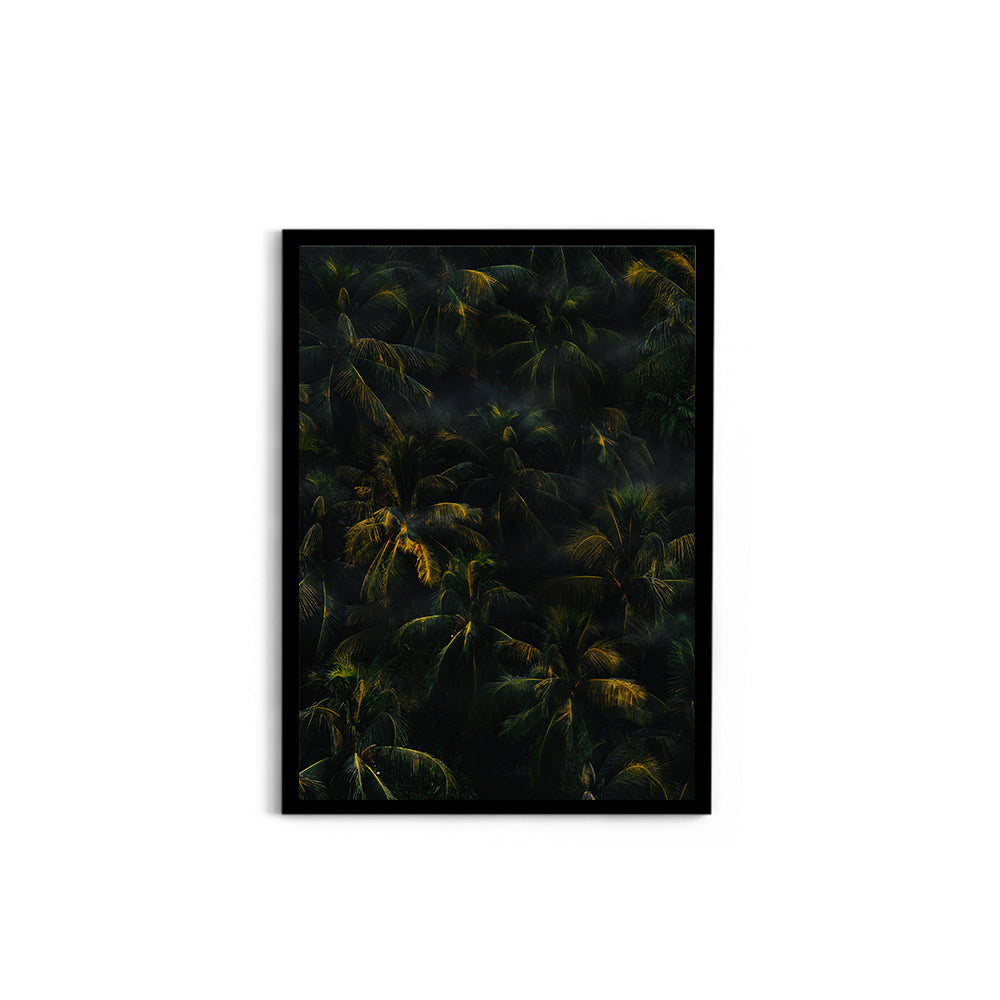 Tropical Palm Canopy at Golden Hour - Wall Photo Frame by Jeet Khagram