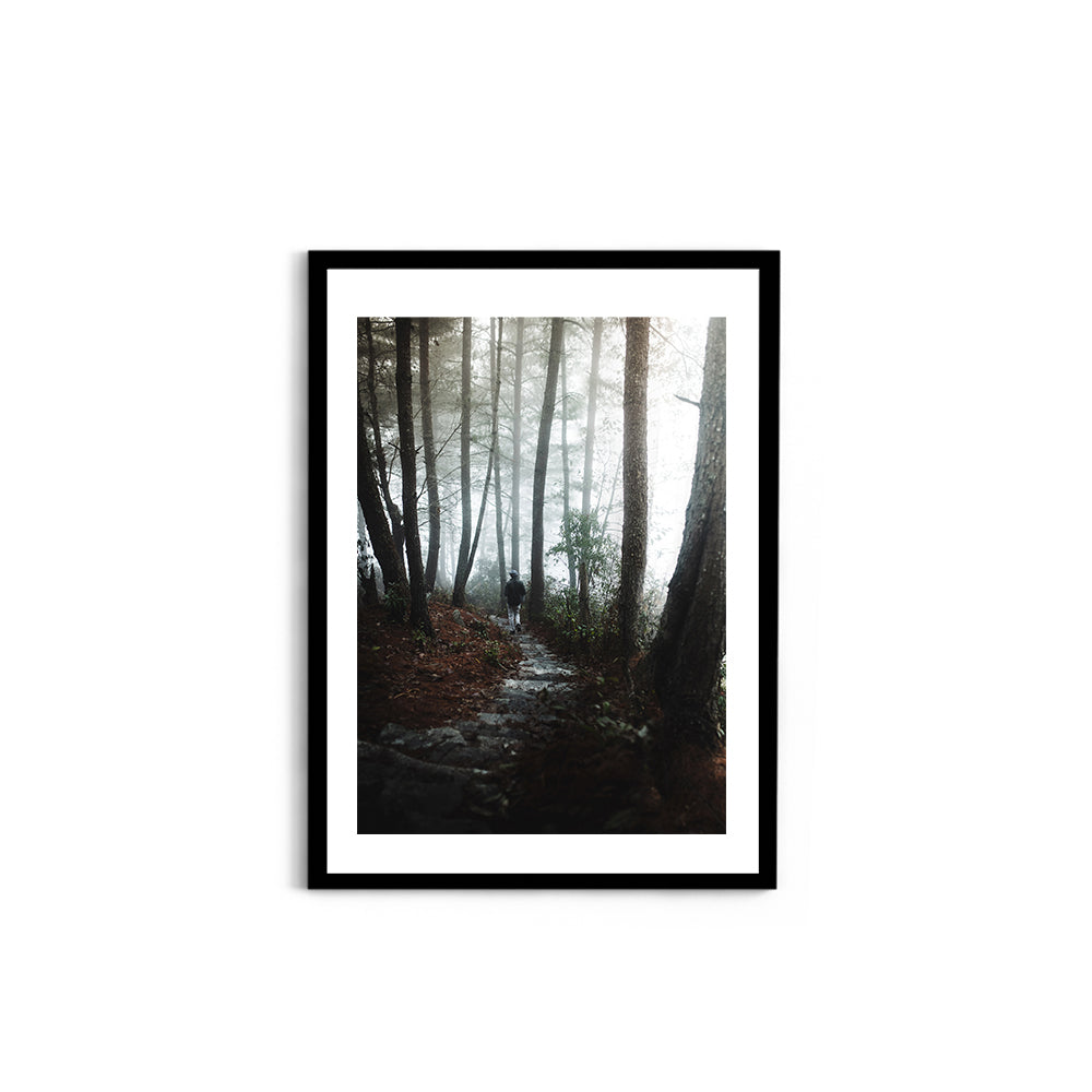 Foggy Path Through the Woods, Arunachal Pradesh - Wall Photo Frame by Jeet Khagram
