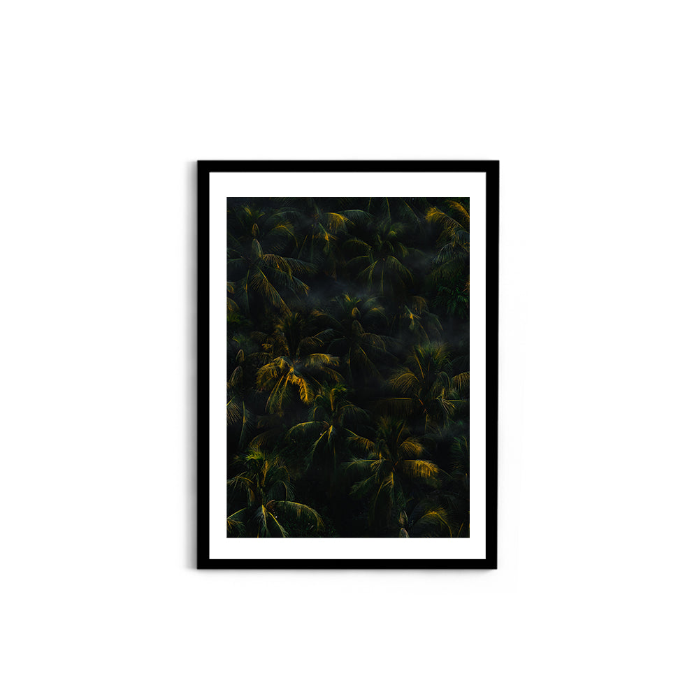 Tropical Palm Canopy at Golden Hour - Wall Photo Frame by Jeet Khagram