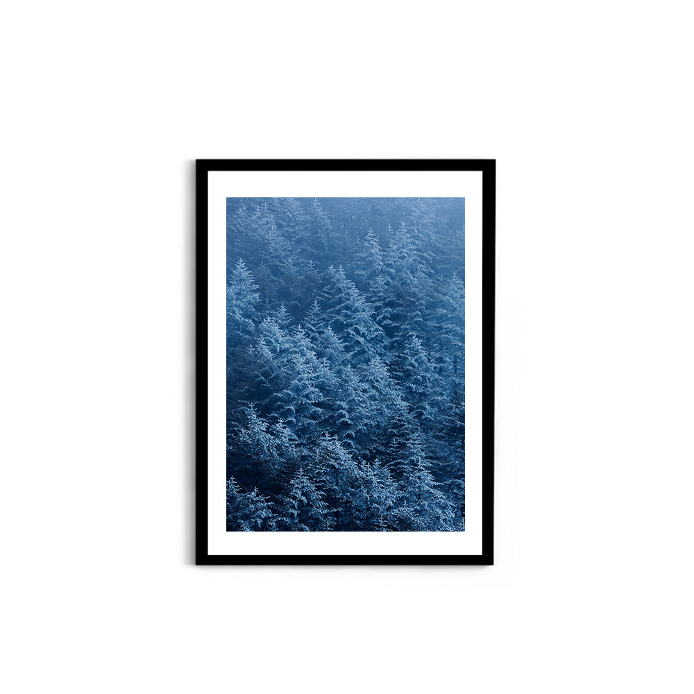 Snow-Dusted Pine Forest, Arunachal Pradesh - Wall Photo Frame by Jeet Khagram