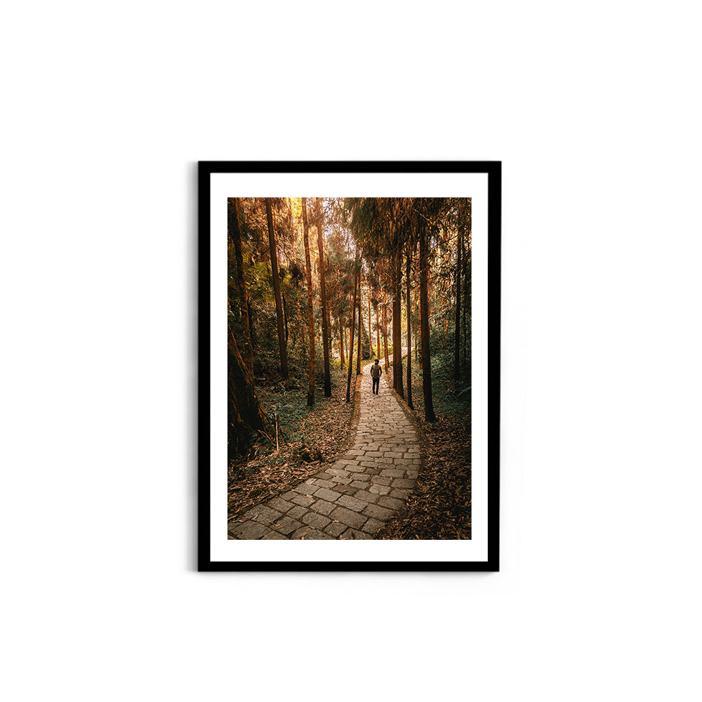 The Forest Path Nature Photography - Wall Photo Frame by Jeet Khagram