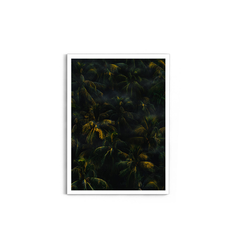 Tropical Palm Canopy at Golden Hour - Wall Photo Frame by Jeet Khagram