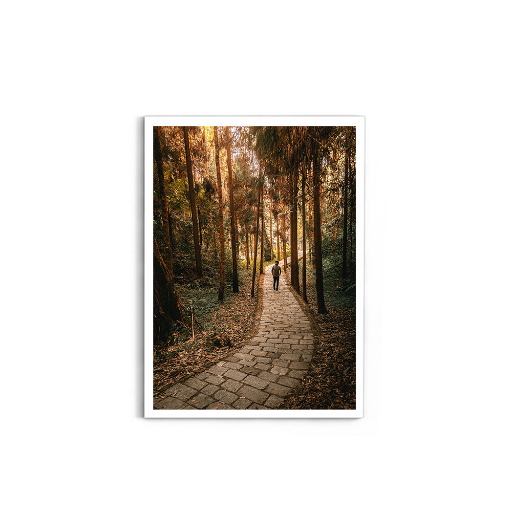 The Forest Path Nature Photography - Wall Photo Frame by Jeet Khagram