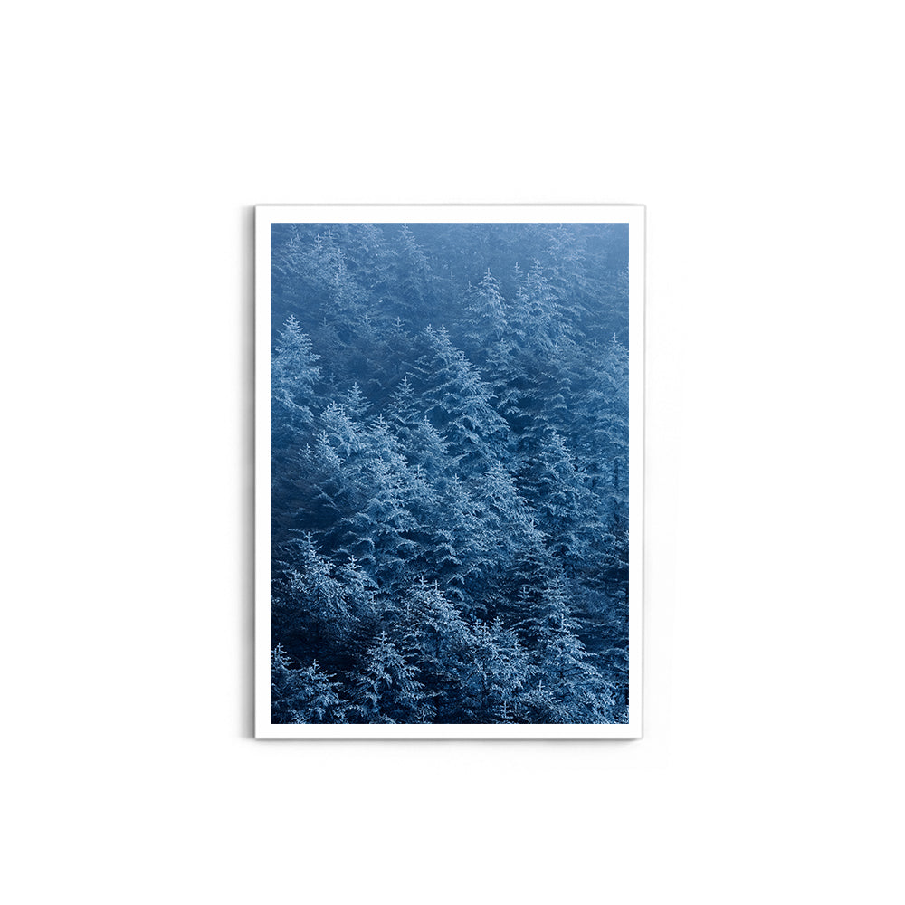 Snow-Dusted Pine Forest, Arunachal Pradesh - Wall Photo Frame by Jeet Khagram