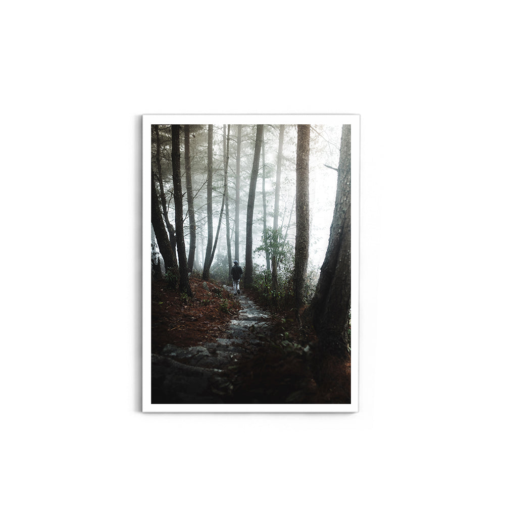 Foggy Path Through the Woods, Arunachal Pradesh - Wall Photo Frame by Jeet Khagram