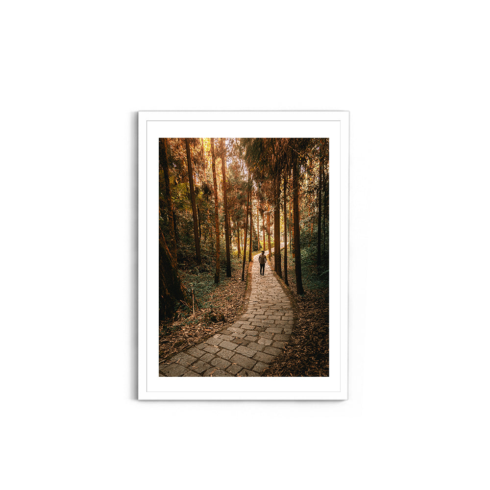 The Forest Path Nature Photography - Wall Photo Frame by Jeet Khagram