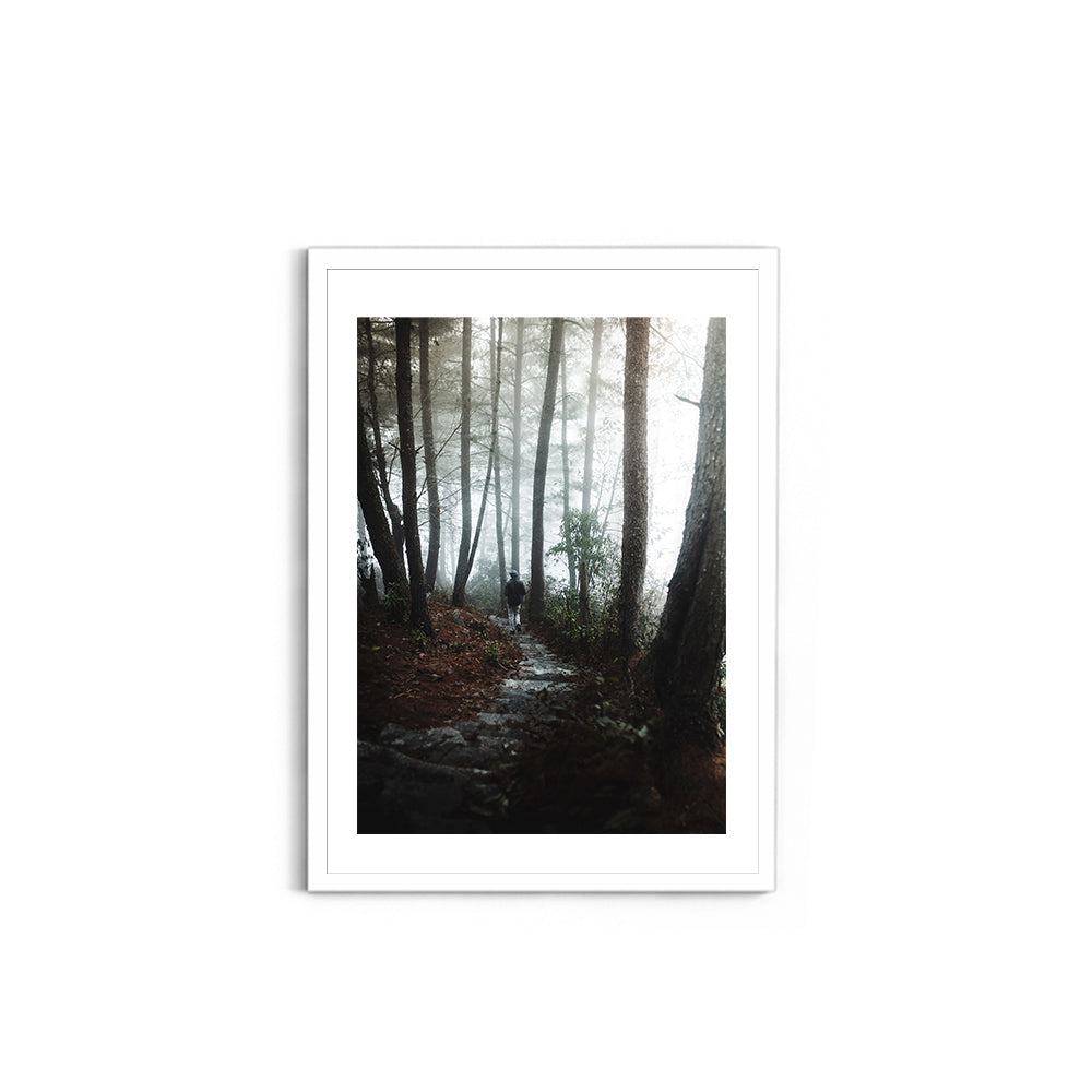 Foggy Path Through the Woods, Arunachal Pradesh - Wall Photo Frame by Jeet Khagram