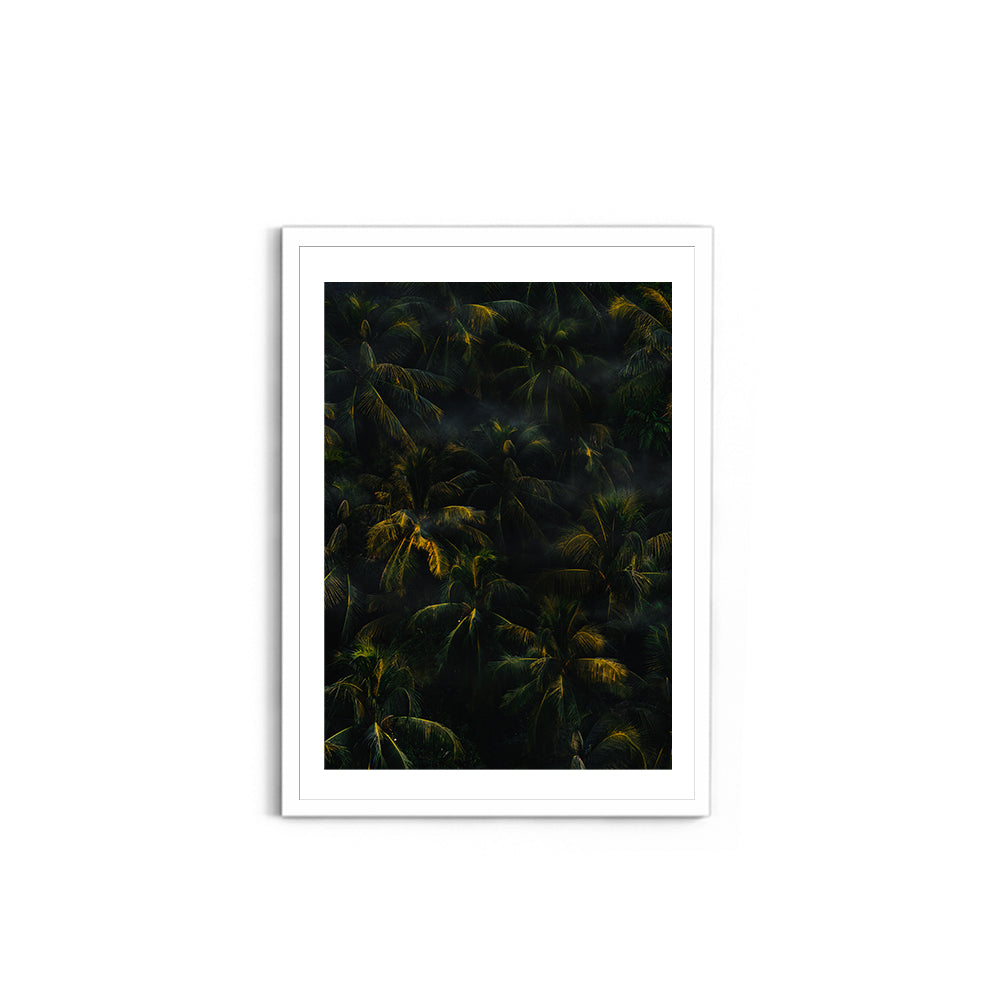 Tropical Palm Canopy at Golden Hour - Wall Photo Frame by Jeet Khagram