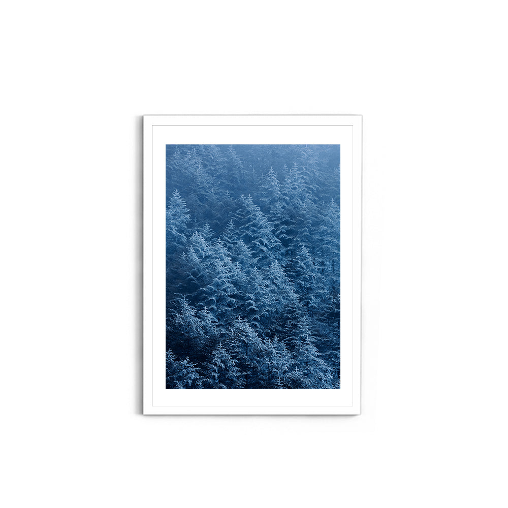 Snow-Dusted Pine Forest, Arunachal Pradesh - Wall Photo Frame by Jeet Khagram