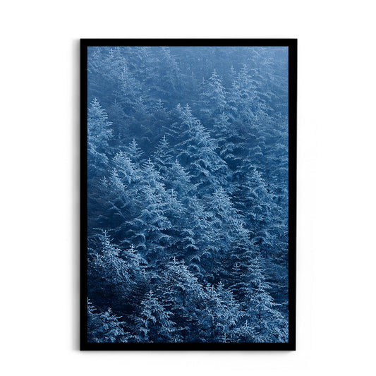 Snow-Dusted Pine Forest, Arunachal Pradesh - Wall Photo Frame by Jeet Khagram