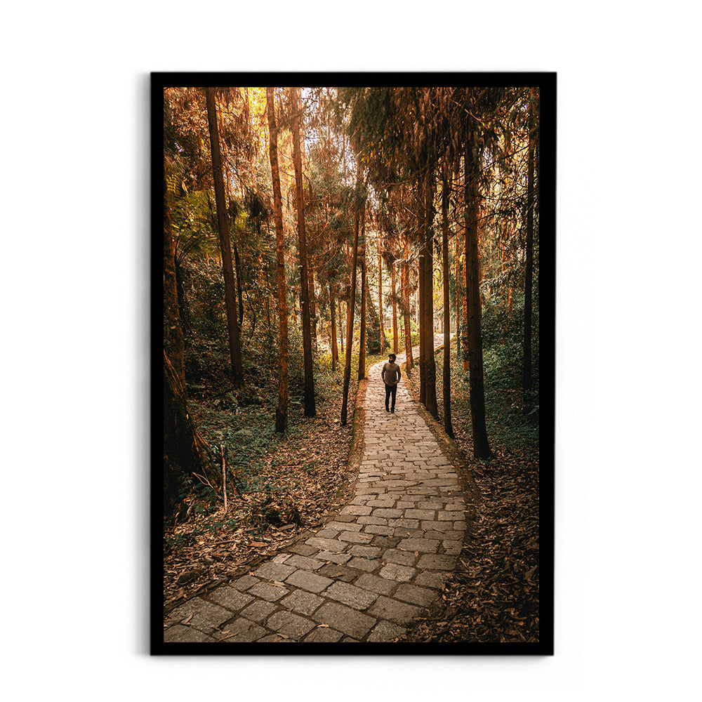 The Forest Path Nature Photography - Wall Photo Frame by Jeet Khagram