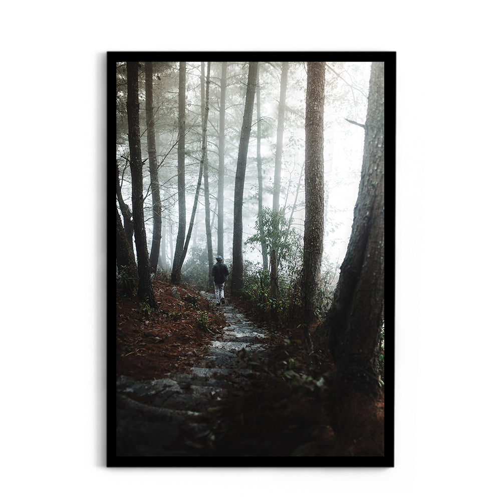 Foggy Path Through the Woods, Arunachal Pradesh - Wall Photo Frame by Jeet Khagram