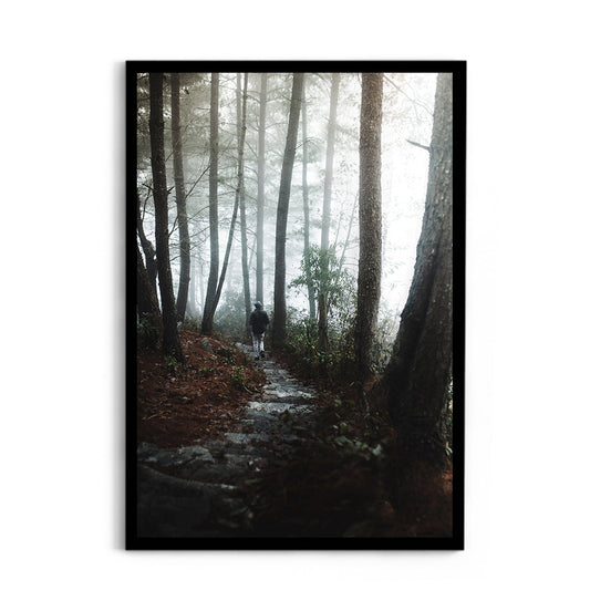 Foggy Path Through the Woods, Arunachal Pradesh - Wall Photo Frame by Jeet Khagram