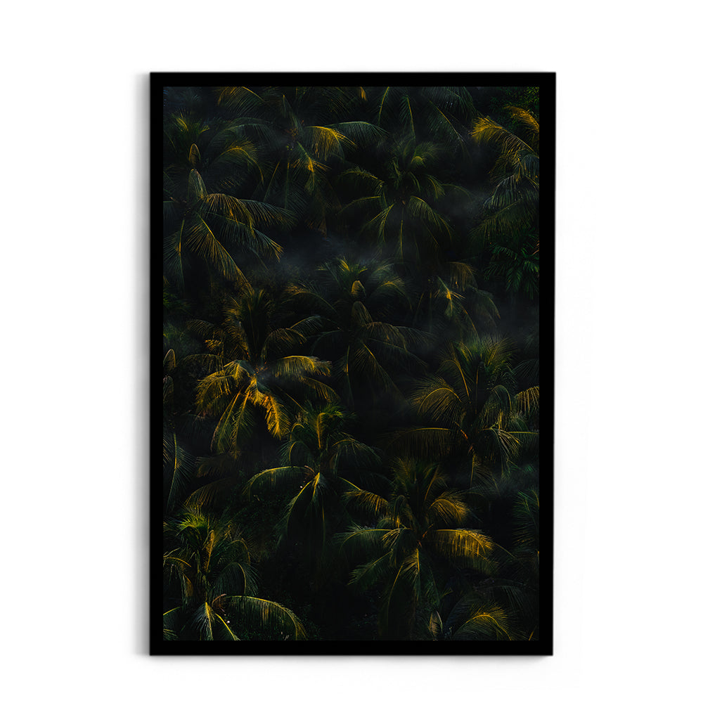 Tropical Palm Canopy at Golden Hour - Wall Photo Frame by Jeet Khagram