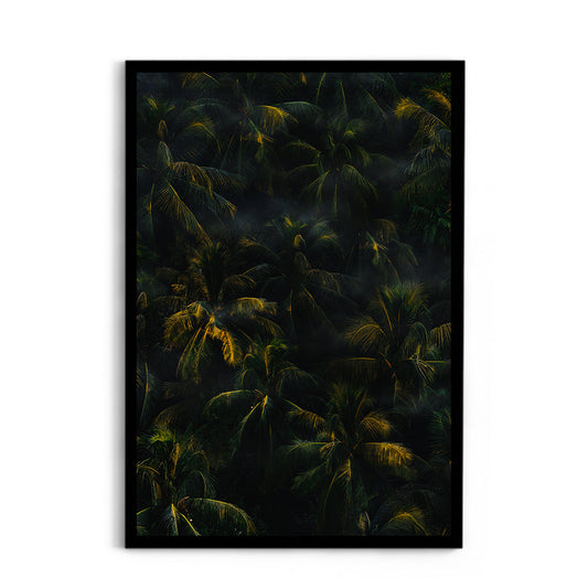 Tropical Palm Canopy at Golden Hour - Wall Photo Frame by Jeet Khagram