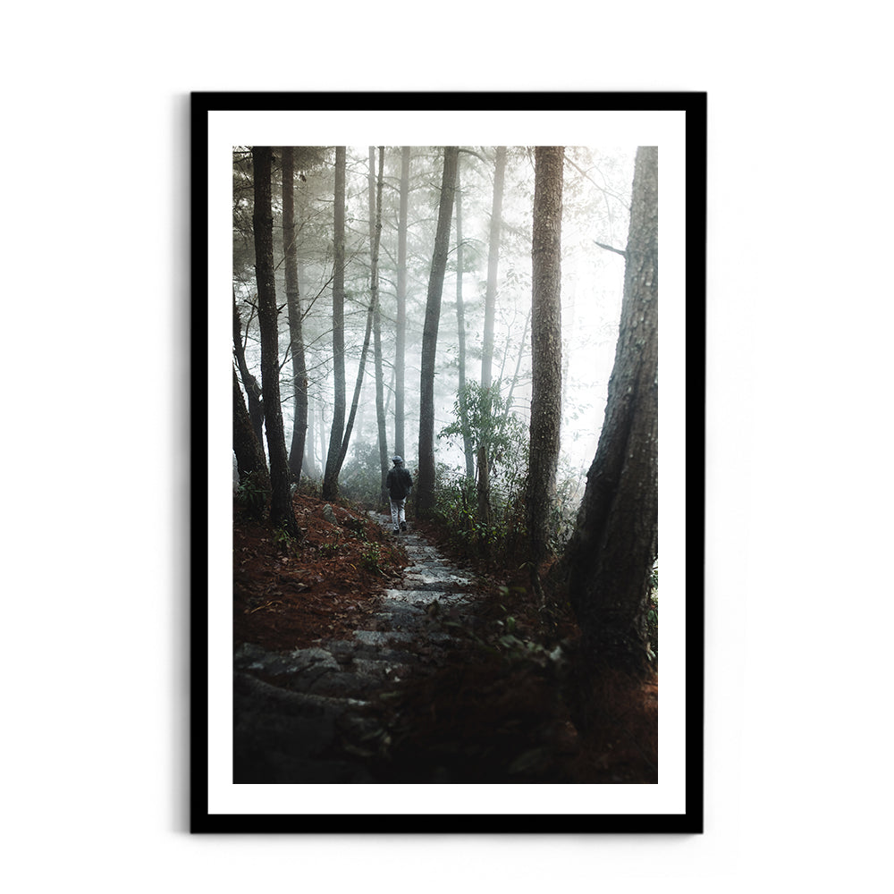 Foggy Path Through the Woods, Arunachal Pradesh - Wall Photo Frame by Jeet Khagram