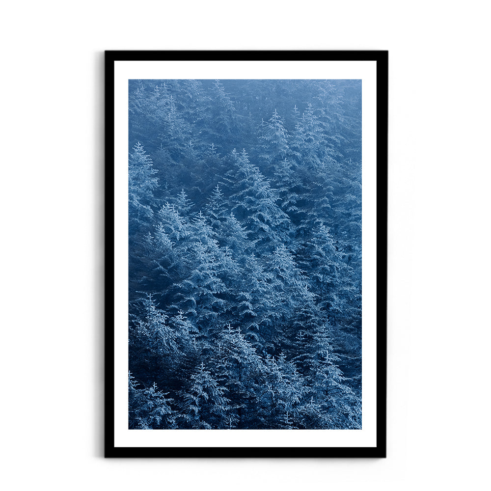 Snow-Dusted Pine Forest, Arunachal Pradesh - Wall Photo Frame by Jeet Khagram