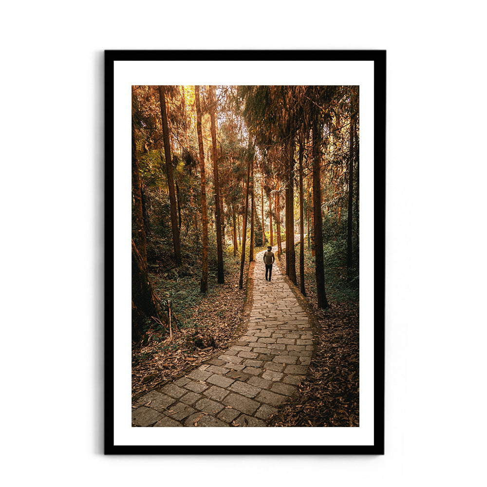 The Forest Path Nature Photography - Wall Photo Frame by Jeet Khagram