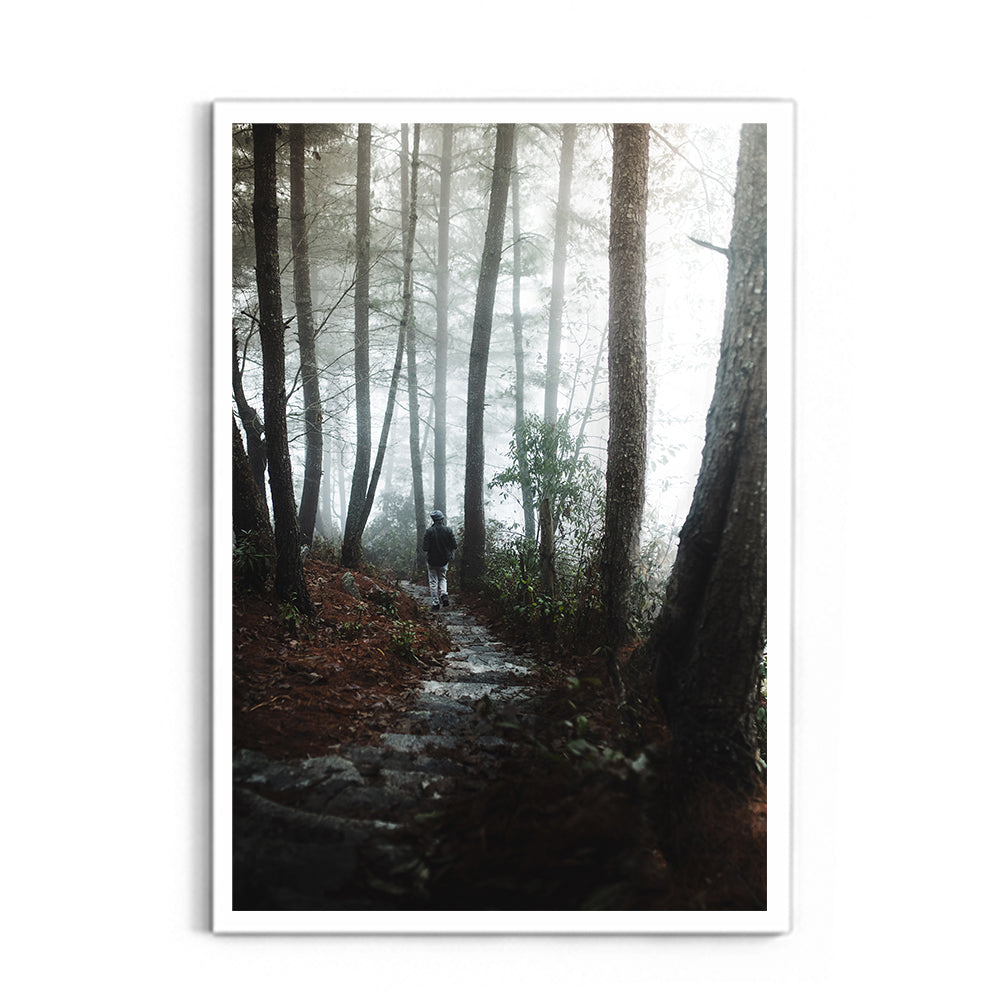 Foggy Path Through the Woods, Arunachal Pradesh - Wall Photo Frame by Jeet Khagram