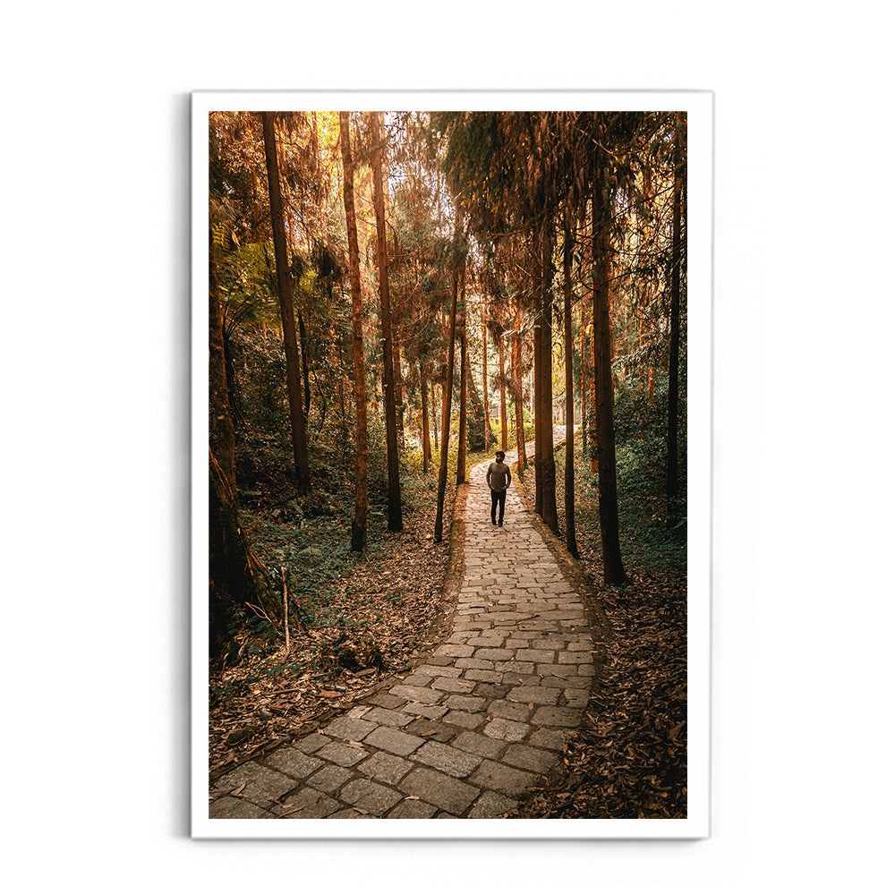 The Forest Path Nature Photography - Wall Photo Frame by Jeet Khagram