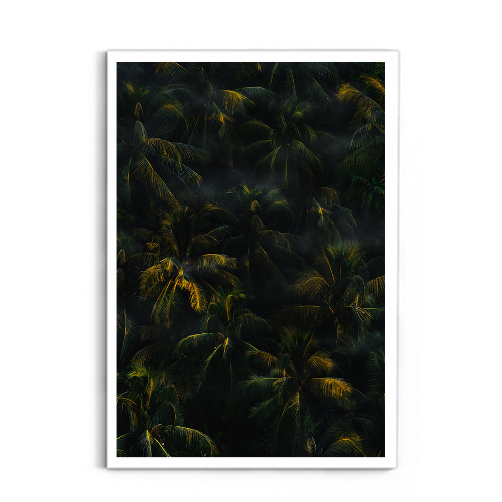Tropical Palm Canopy at Golden Hour - Wall Photo Frame by Jeet Khagram