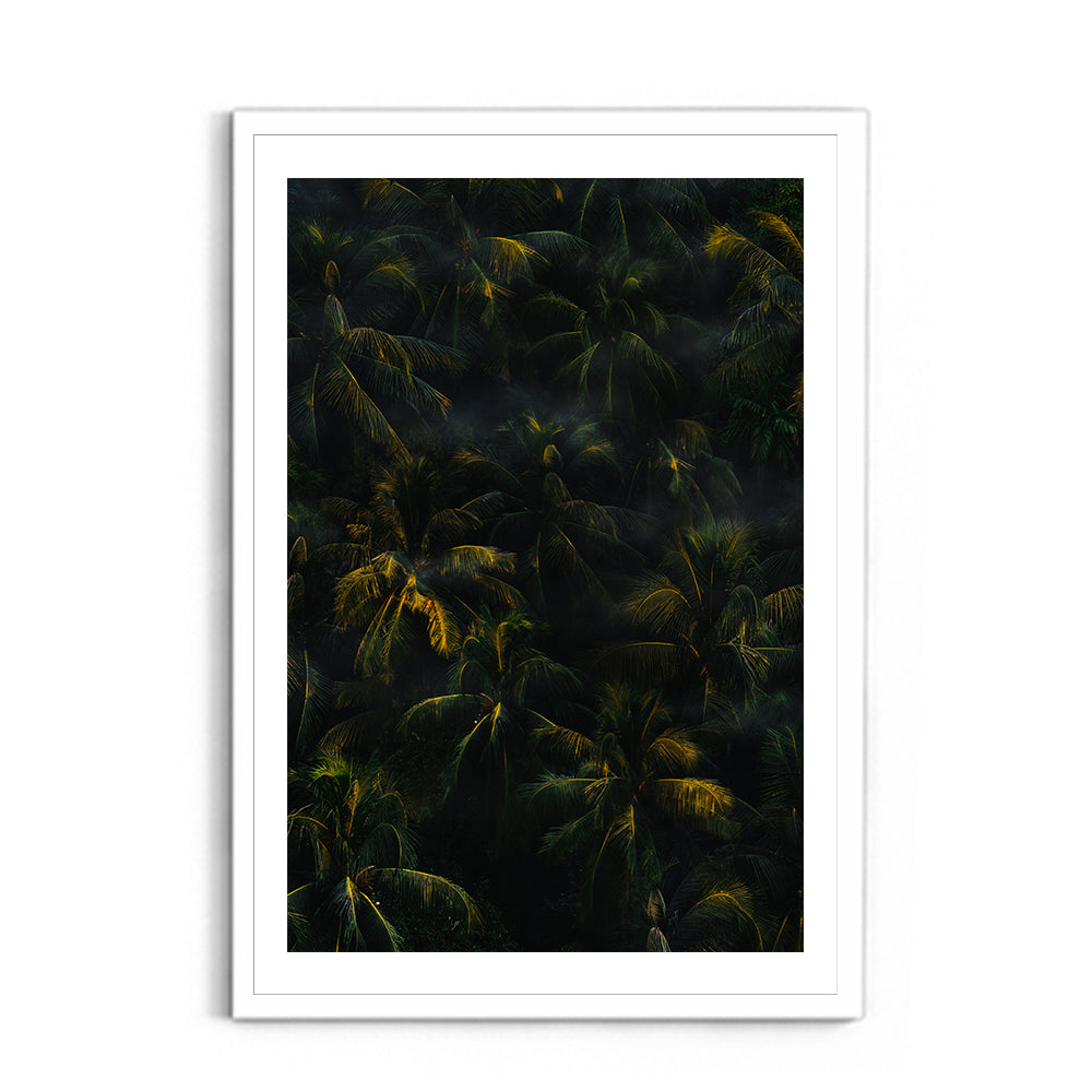 Tropical Palm Canopy at Golden Hour - Wall Photo Frame by Jeet Khagram