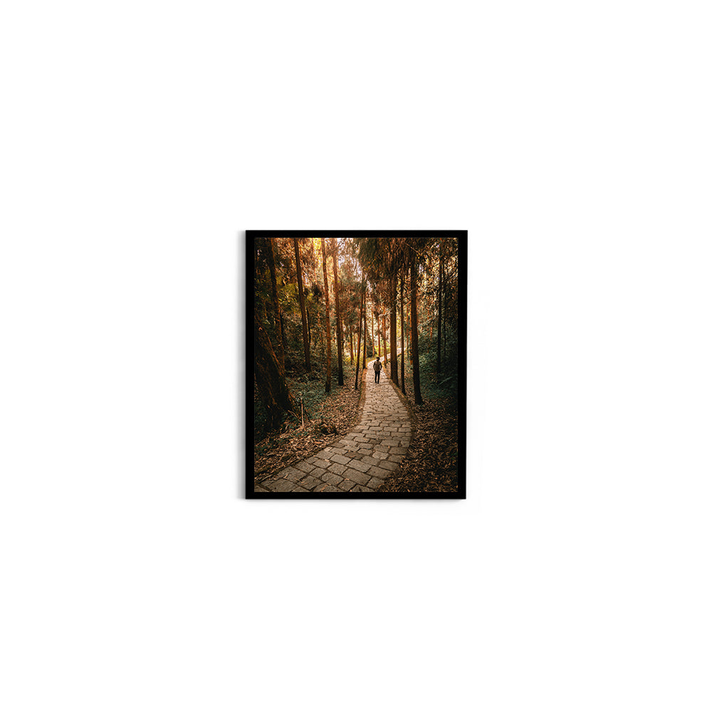The Forest Path Nature Photography - Wall Photo Frame by Jeet Khagram