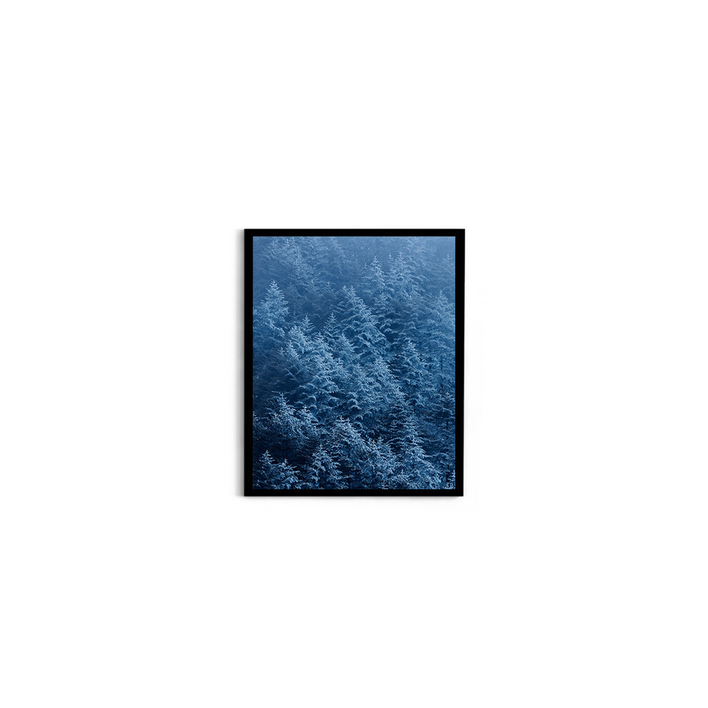 Snow-Dusted Pine Forest, Arunachal Pradesh - Wall Photo Frame by Jeet Khagram