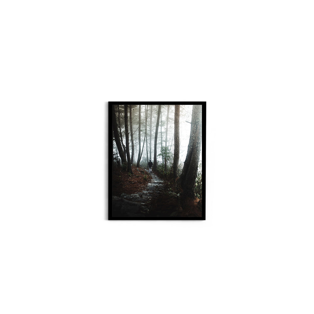 Foggy Path Through the Woods, Arunachal Pradesh - Wall Photo Frame by Jeet Khagram