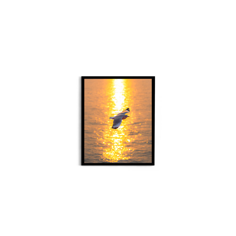 Wings Over Gold - Wall Photo Frame by Jeet Khagram