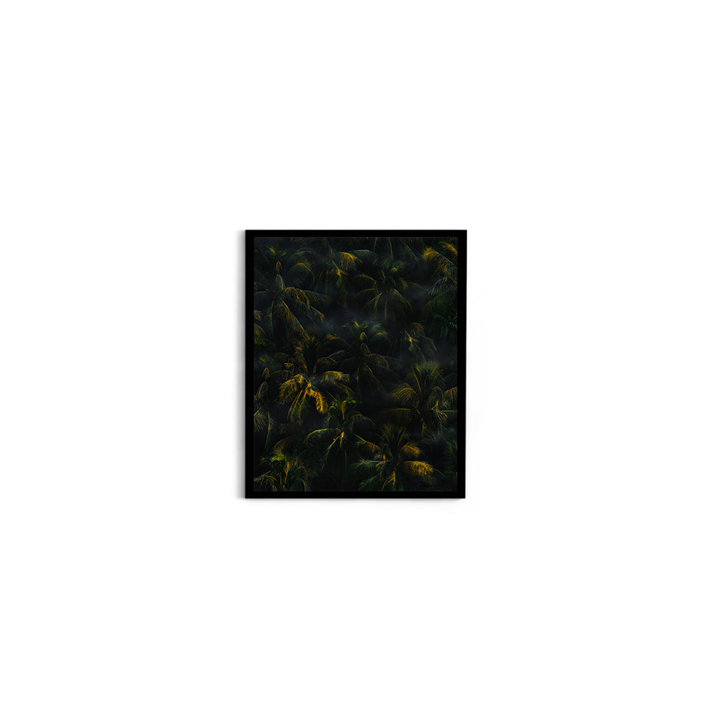 Tropical Palm Canopy at Golden Hour - Wall Photo Frame by Jeet Khagram