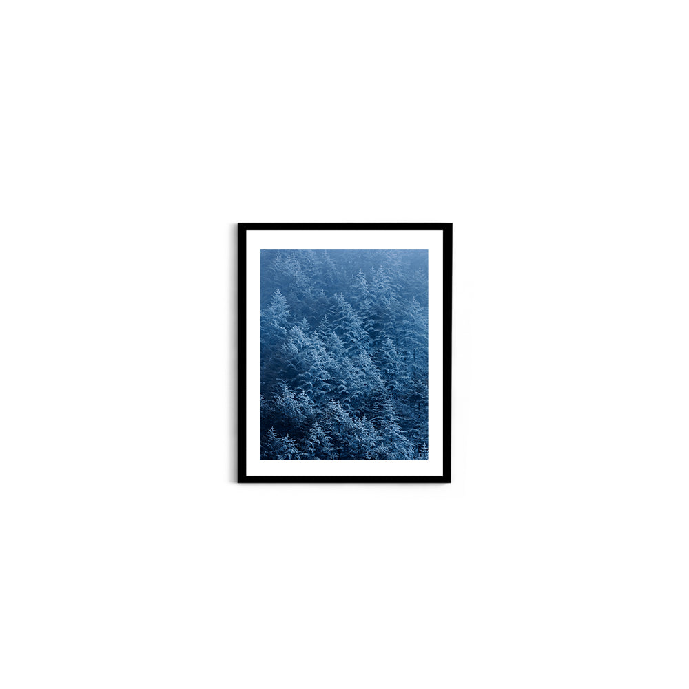 Snow-Dusted Pine Forest, Arunachal Pradesh - Wall Photo Frame by Jeet Khagram