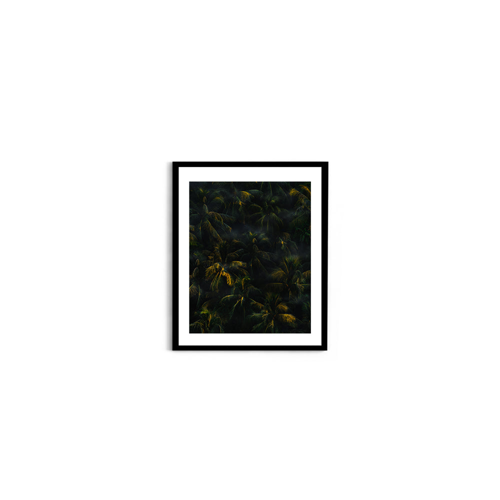 Tropical Palm Canopy at Golden Hour - Wall Photo Frame by Jeet Khagram