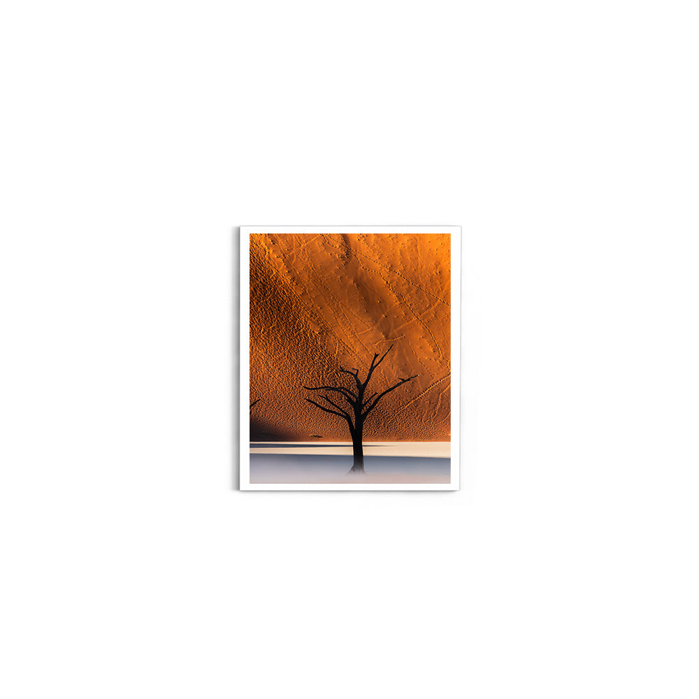 Namibia's Red Dunes & The Last Tree - Wall Photo Frame by Jeet Khagram