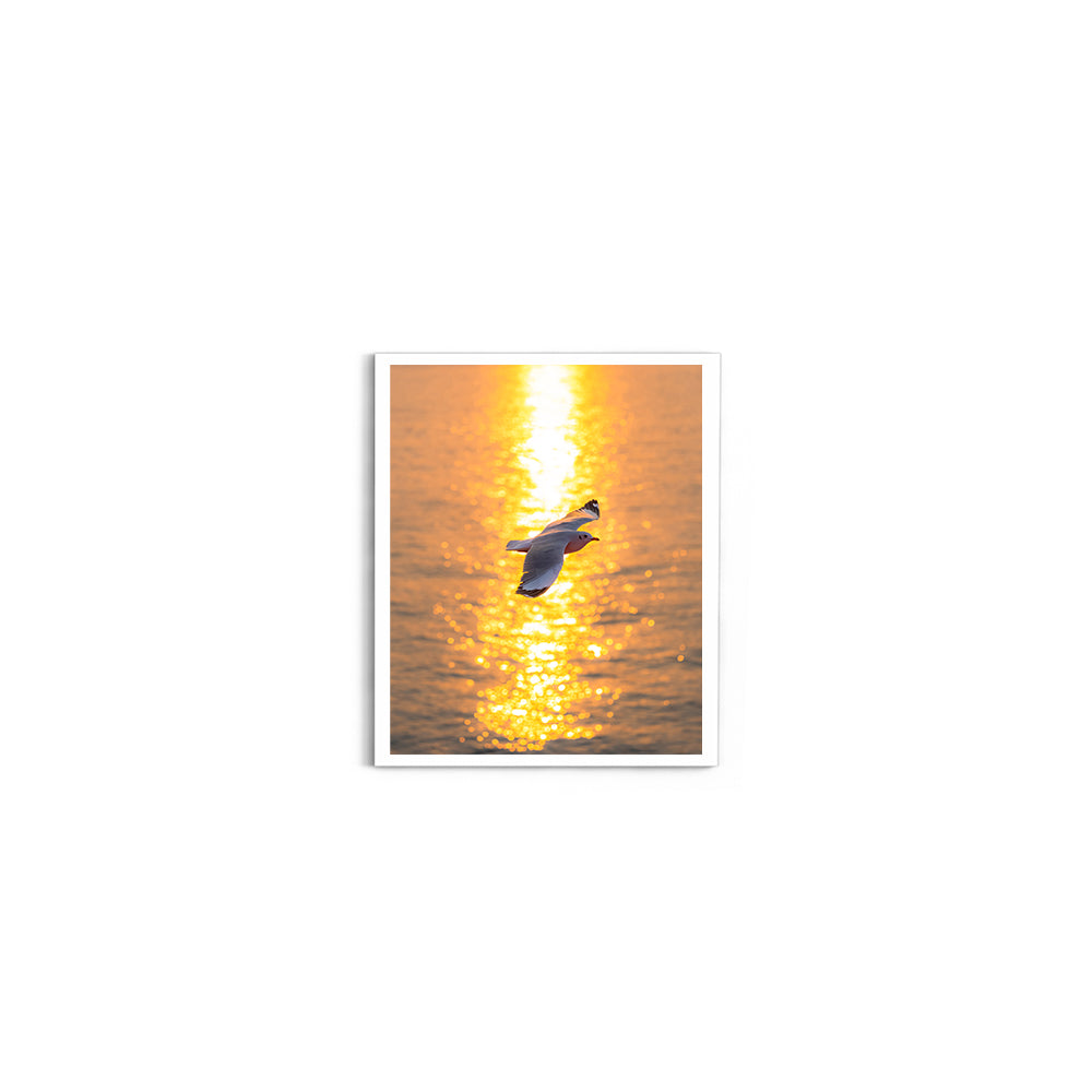 Wings Over Gold - Wall Photo Frame by Jeet Khagram