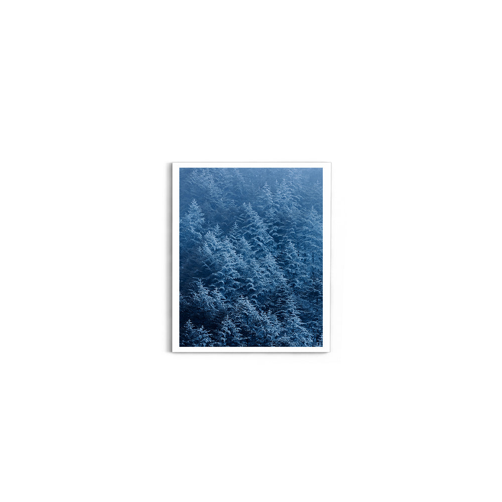 Snow-Dusted Pine Forest, Arunachal Pradesh - Wall Photo Frame by Jeet Khagram