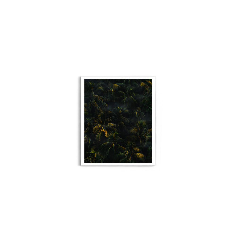 Tropical Palm Canopy at Golden Hour - Wall Photo Frame by Jeet Khagram