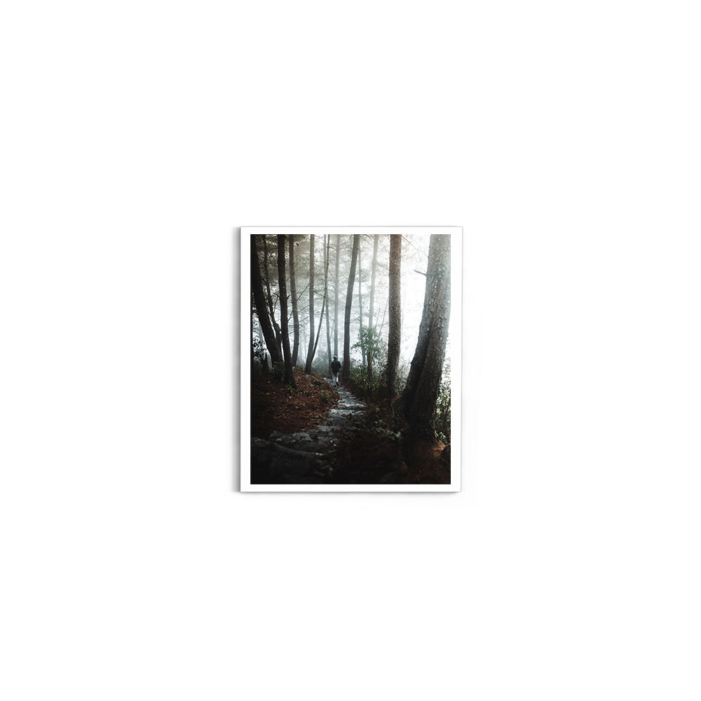 Foggy Path Through the Woods, Arunachal Pradesh - Wall Photo Frame by Jeet Khagram