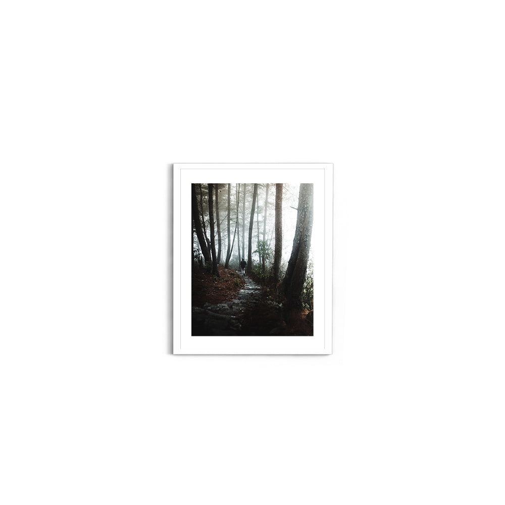 Foggy Path Through the Woods, Arunachal Pradesh - Wall Photo Frame by Jeet Khagram