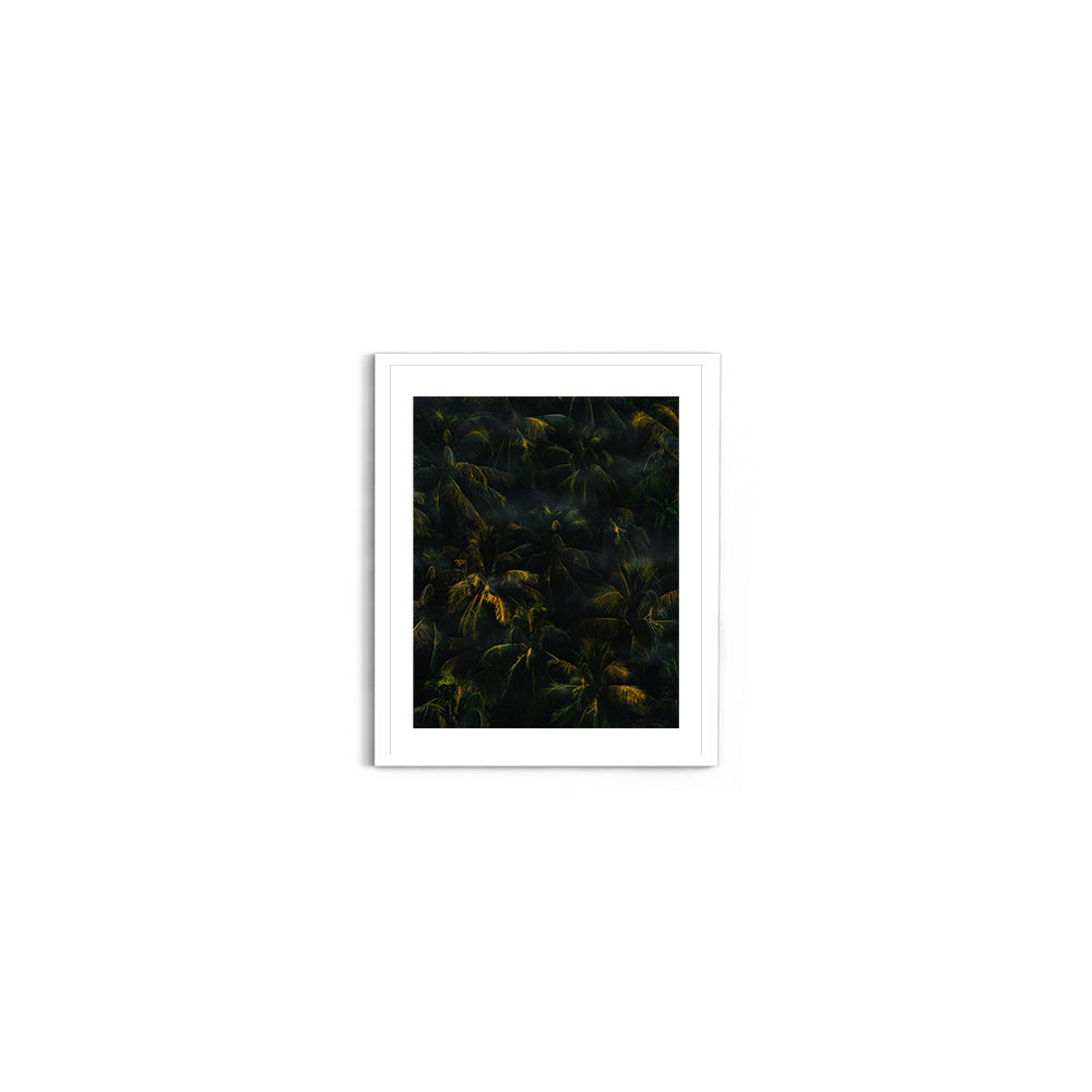 Tropical Palm Canopy at Golden Hour - Wall Photo Frame by Jeet Khagram