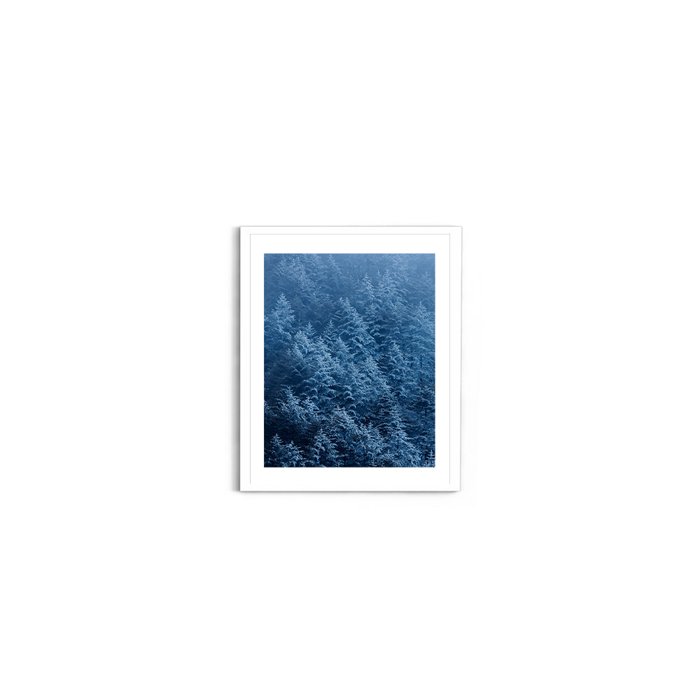 Snow-Dusted Pine Forest, Arunachal Pradesh - Wall Photo Frame by Jeet Khagram