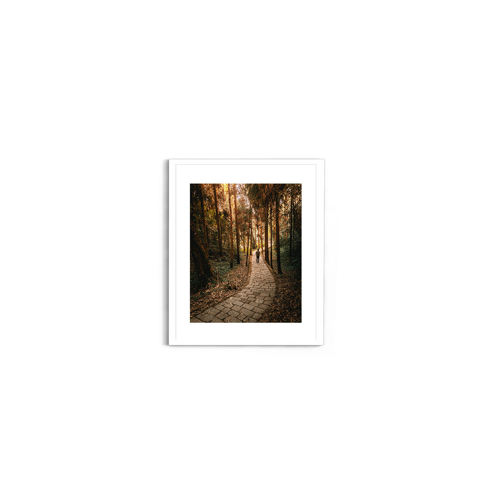 The Forest Path Nature Photography - Wall Photo Frame by Jeet Khagram
